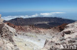 Parque Nacional de Pico del Teide