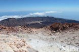 Parque Nacional de Pico del Teide