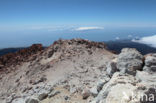 Parque Nacional de Pico del Teide