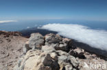 Parque Nacional de Pico del Teide