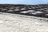 Salinas de Fuencaliente