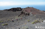 San Antonio volcano