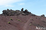 San Antonio volcano