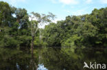 Tamshiyacu Tahuayo Reserve