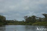 Tamshiyacu Tahuayo Reserve