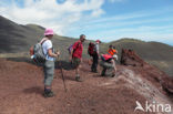 Teneguia volcano