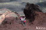 Teneguia volcano