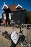 Watermolen Den Haller