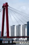 Willemsbrug