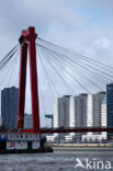 Willemsbrug