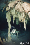 Bat Cave Cenote