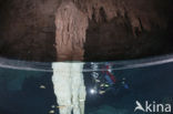 Bat Cave Cenote