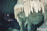 Bat Cave Cenote