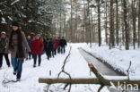 Boswachterij Hardenberg