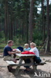 Boswachterij Ommen