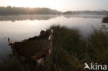 Boswachterij Staphorst