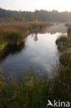 Boswachterij Staphorst