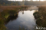 Boswachterij Staphorst