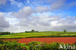 Brecon Beacons National Park