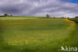 Brecon Beacons National Park