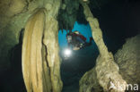 Car Wash Cenote