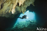 Car Wash Cenote