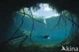 Car Wash Cenote