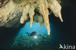 Car Wash Cenote