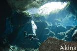 Chac Mool cenote