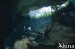 Chac Mool cenote