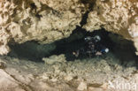 Chac Mool cenote