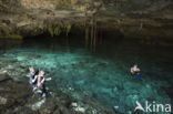 Dos Ojos Cenote