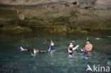 Dos Ojos Cenote