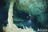 Dos Ojos Cenote