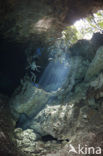 Dos Ojos Cenote