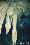 Dos Ojos Cenote