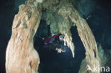 Dos Ojos Cenote