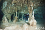 Dos Ojos Cenote