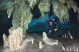 Dos Ojos Cenote