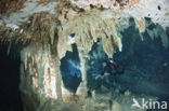 Dos Ojos Cenote