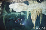 Dos Ojos Cenote