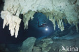 Dos Ojos Cenote