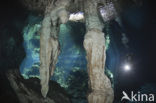 Gran Cenote