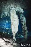 Gran Cenote