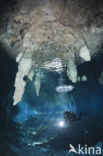 Gran Cenote