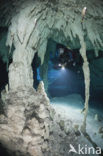 Gran Cenote