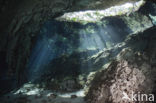 Gran Cenote