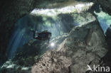 Gran Cenote