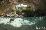 Gran Cenote