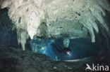 Gran Cenote